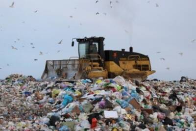 Из территориальной схемы по обращению с ТКО исключено мусоросжигание