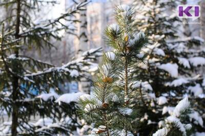 Прогноз погоды в Коми на 16 декабря: снег, южный ветер, -5...-16°С