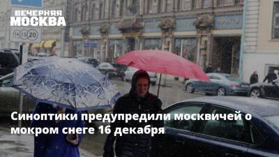 Синоптики предупредили москвичей о мокром снеге 16 декабря