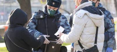 Полицейские наказали тысячи жителей Петрозаводска штрафами на сумму 1,8 млн рублей