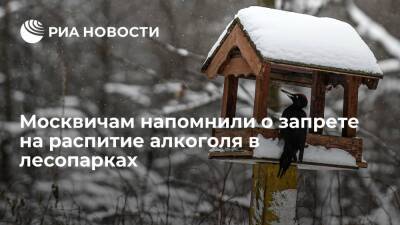 Антон Кульбачевский - Москвичам напомнили о запрете на распитие алкоголя и запуск фейерверков в лесопарках - ria.ru - Москва - Москва