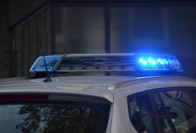 Полиция возбудила уголовное дело по факту смертельного ДТП на Невском