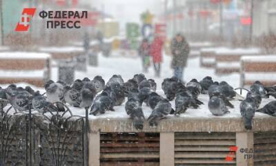 Жителей Владивостока предупредили о самой холодной ночи с начала зимы