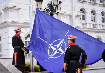 Финский политолог Бекман призвал ликвидировать «террористическую структуру» НАТО