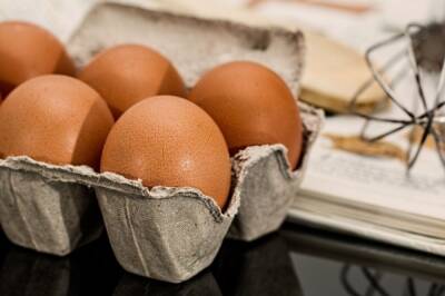 Британская газета назвала самую распространенную ошибку при варке яиц