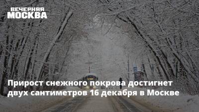 Прирост снежного покрова достигнет двух сантиметров 16 декабря в Москве