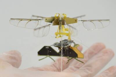 Исследователи Toyota разработали робота-насекомое: весит всего 1,8 г и летает за счет бесконтактной беспроводной зарядки