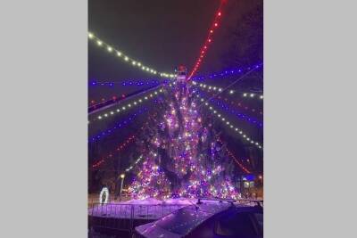 В сквере Карла Маркса зажгли главную новогоднюю елку Брянска