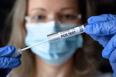 Медики подтвердили коронавирус еще у 350 человек в Ленобласти