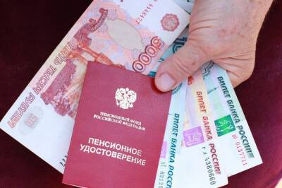 13-я пенсия перед Новым годом: кто проспонсирует помощь пожилым россиянам