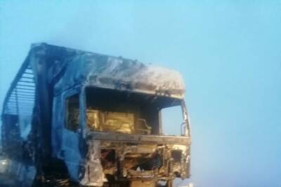 На трассе в Мензелинском районе Татарстана сгорела фура