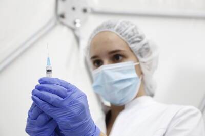 Российские учёные начали разрабатывать вакцину на основе клеток насекомых