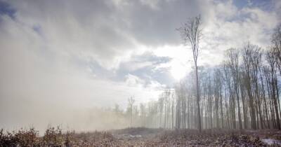 ГСЧС предупредила о тумане и гололедице в некоторых регионах