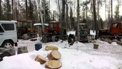 Жителей Иркутской области заподозрили в незаконной рубке леса на 30 млн рублей