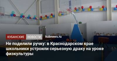 Не поделили ручку: в Краснодарском крае школьники устроили серьезную драку на уроке физкультуры