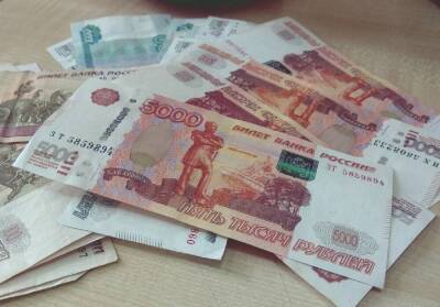 В России предлагают выплачивать новогоднюю пенсию