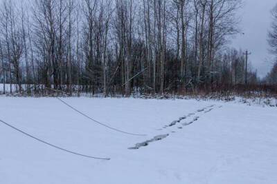 «Под тяжестью мокрого снега рвутся провода»: псковские энергетики устраняют последствия стихии