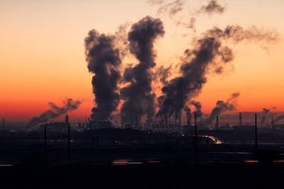 Рязанский минздрав заявил об отсутствии влияния выбросов на здоровье жителей