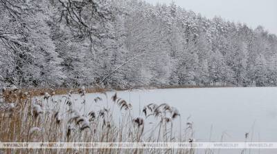 В Логойском районе рыбак провалился под лед и погиб - belta.by - Белоруссия - Минск - район Логойский