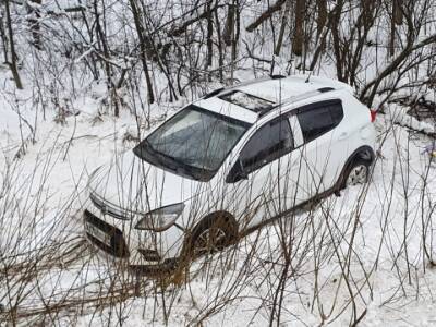 В перевернувшейся на дороге в Тверской области легковушке пострадали два человека