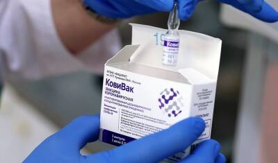 Белоруссия одобрила ввоз и применение российской вакцины «КовиВак»