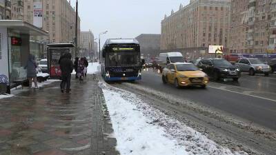 В Москву перед 20-градусными морозами пришла оттепель