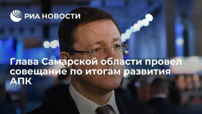 Губернатор Самарской области Азаров провел совещание по итогам развития АПК в 2021 году