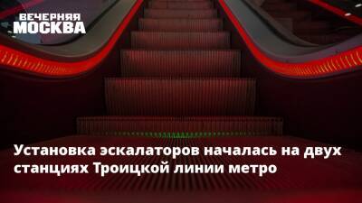 Установка эскалаторов началась на двух станциях Троицкой линии метро