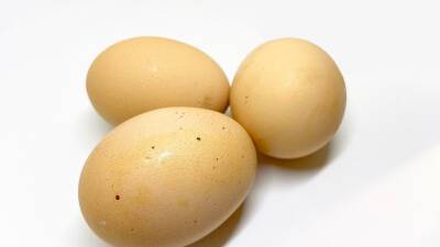 Названа частая ошибка при варке яиц