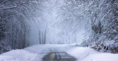 Когда в Украине может начаться настоящая зима: прогноз метеорологического института