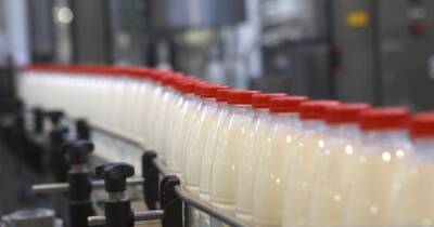 В Японии тонны молока выльют в канализацию из-за падения спроса