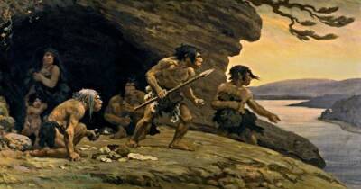 Огнем и камнем. Неандертальцы меняли экосистемы 125 тыс. лет назад, задолго до неолита