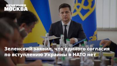 Зеленский заявил, что единого согласия по вступлению Украины в НАТО нет