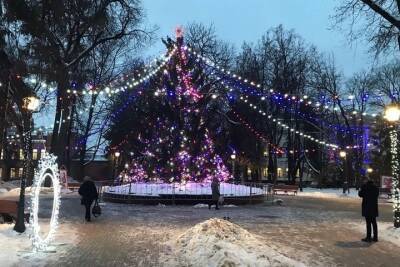 В сквере Карла Маркса украсили главную елку Брянска