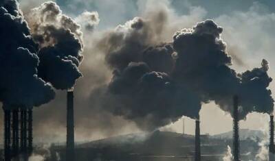 Nature: падение рождаемости может быть связано с загрязнением ископаемым топливом