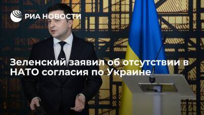 Президент Зеленский: среди 30 стран-участниц НАТО нет согласия по членству Украины