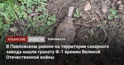 В Павловском районе на территории сахарного завода нашли гранату Ф-1 времен Великой Отечественной войны
