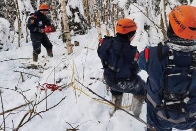 Спасатели на «Лосях» обследователи более 350 км ЛЭП в Новгородской области
