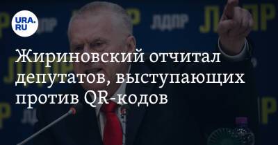 Жириновский отчитал депутатов, выступающих против QR-кодов. «Собой займитесь!»