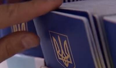 Марат Киреев: Двойное гражданство для "избранной" диаспоры