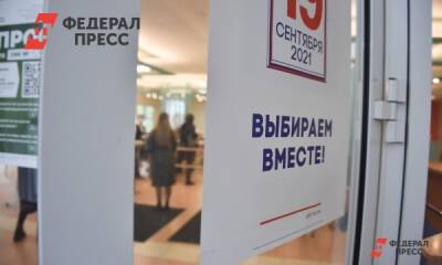 Большинство россиян поддерживает электронное голосование