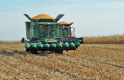 Урожайность кукурузы в НИБУЛОНе выше средней по стране - agroportal.ua - Украина