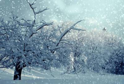 Ленинградскую область ждёт снежная пятница