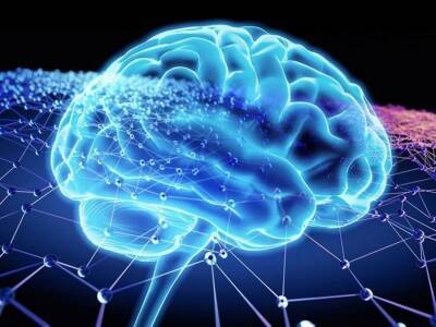 Эксперименты показали, как мозг учится управлять пересаженными мышцами