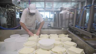 Подмосковье стало лидером среди регионов по производству сыра и йогурта