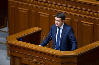 Депутаты обратятся в КСУ за разъяснением понятия «единое гражданство»