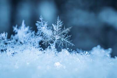 С завтрашнего дня Луганщину начнет засыпать снегом: свежий прогноз