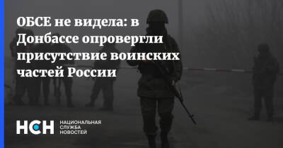 ОБСЕ не видела: в Донбассе опровергли присутствие воинских частей России