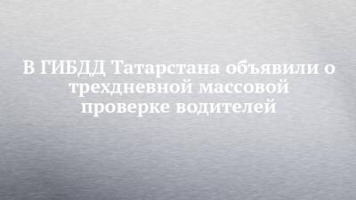 В ГИБДД Татарстана объявили о трехдневной массовой проверке водителей