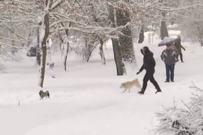 Мощный снегопад надвигается на Харьков: спасатели предупреждают об опасности